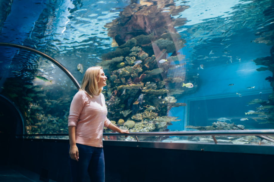 Аквариум наблюдать. Женщина в аквариуме. Женщина с аквариумом Энканто. Дети наблюдают за рыбками. Девушка и мужчина в океанариуме Москва.