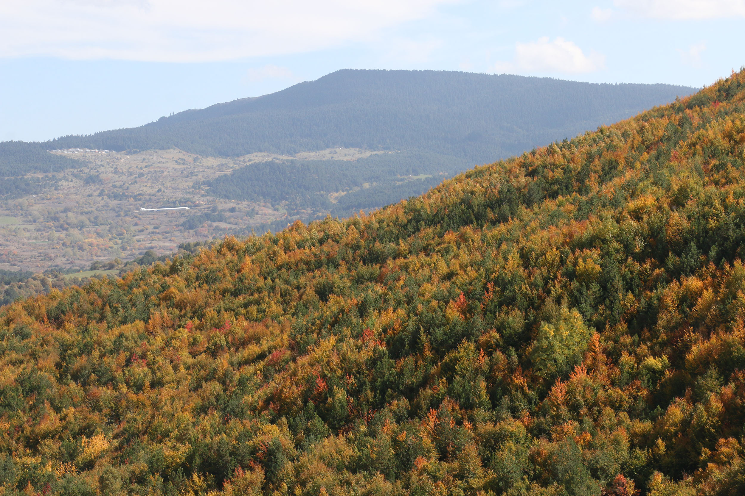 Горы в турецкой провинции Болу окрасились в цвета осени - NOW TURKİYE .